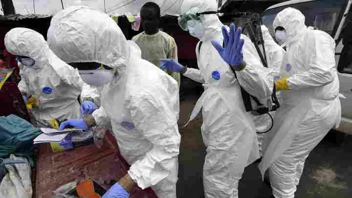Чи можна заразитися лихоманкою Ебола через банани та інші імпортні продукти?