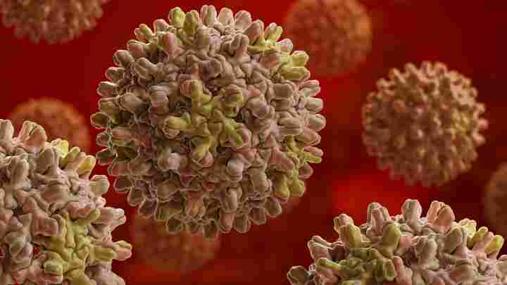 Симптоми і лікування гепатиту С, генотипи вірусу гепатиту С. Ліки від гепатиту С