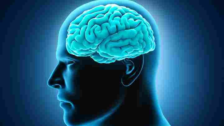 Мозок і психіка людини