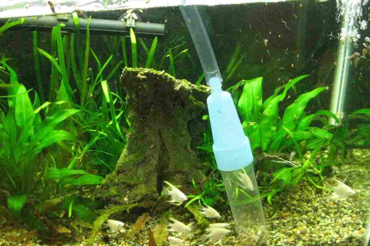 Як чистити акваріум