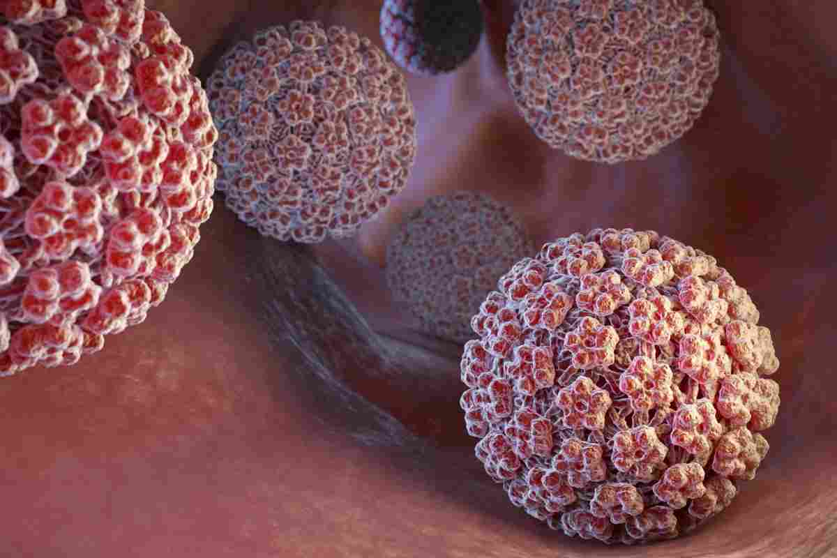 Вірус папіломи людини - що це таке, і як лікувати ВПЛ?