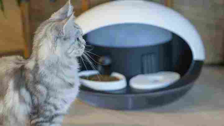CES 2017: автоматизована котяча смарт-миска з бункером для корму і резервуаром води
