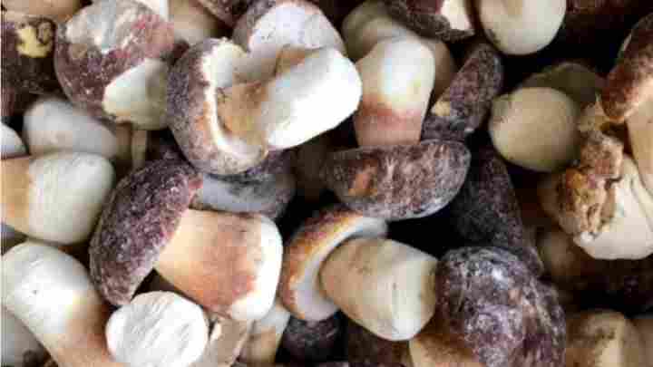 Що приготувати з білих заморожених грибів