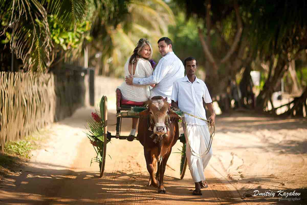 Весілля на Шрі-Ланці