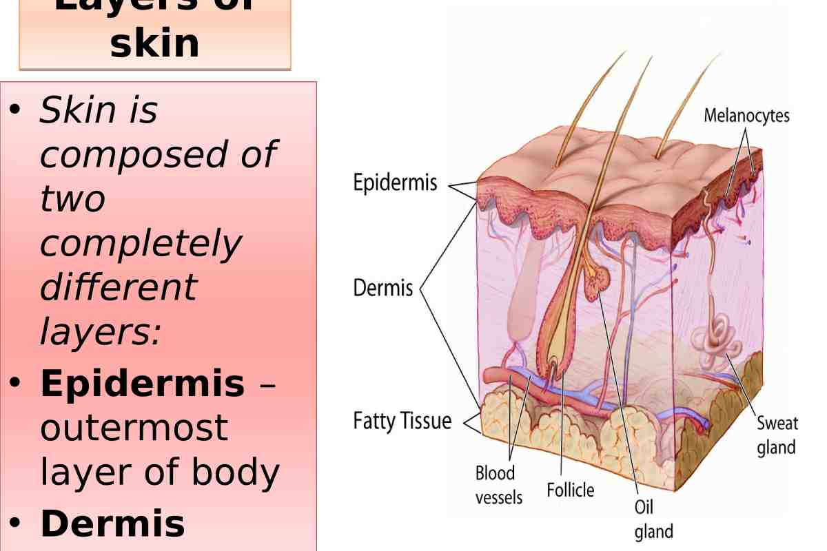 Як поліпшити стан жирної шкіри