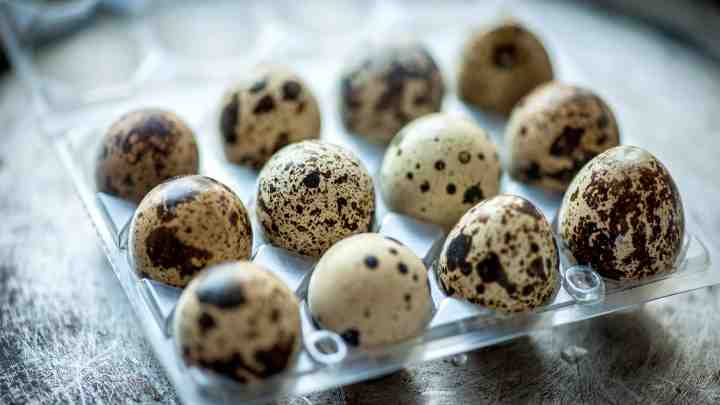 Корисні властивості перепелиних яєць