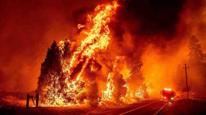 Фермери коментує пожежі в Каліфорнії
