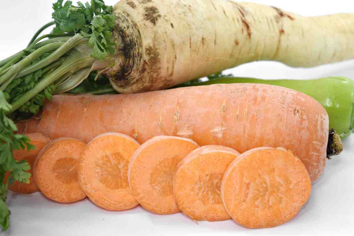 Зниження цін на бельгійську моркву стимулює експорт