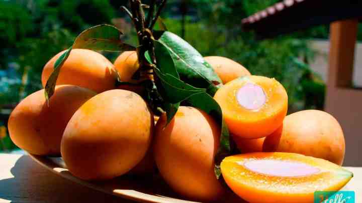 Іспанські манго - альтернатива південноамериканським